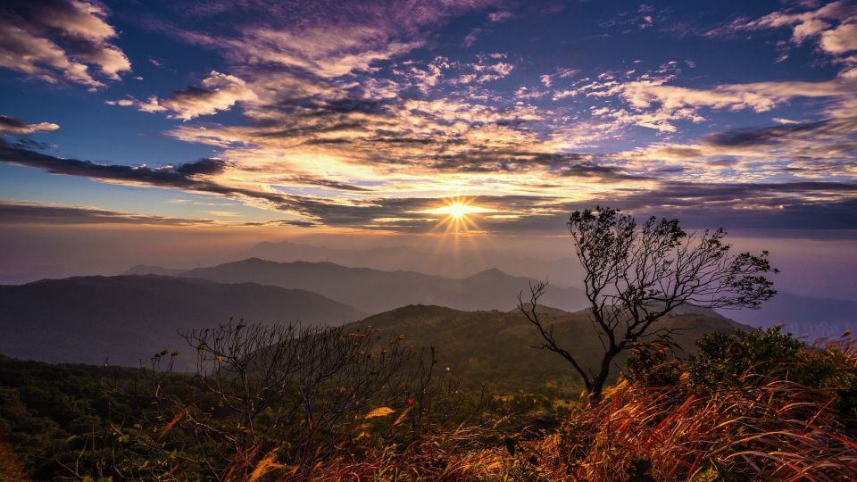 Preventing climate change and biodiversity loss: two sides of the same coin?