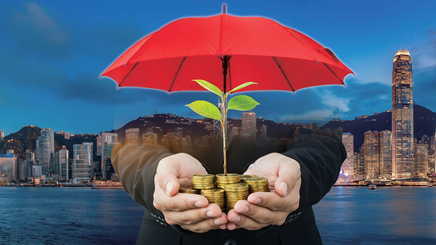 Disaster bonds fortify hub